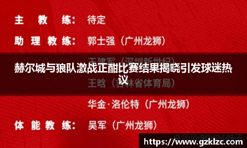 赫尔城与狼队激战正酣比赛结果揭晓引发球迷热议